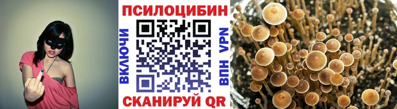 продажа наркотиков  Советск  Псилоцибиновые грибы GOLDEN TEACHER 